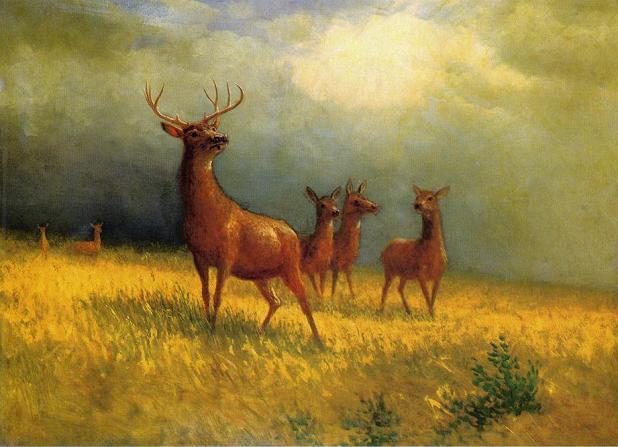 Albert Bierstadt Deer in a Field